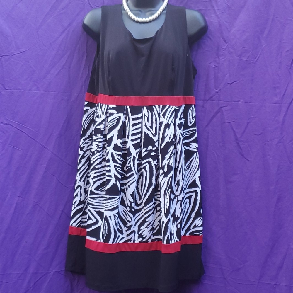 Zebra Print Dress w/a splash of Red